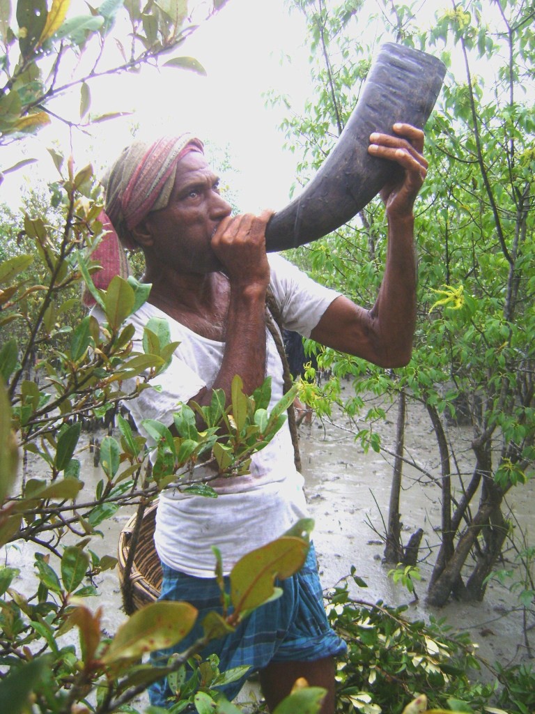 Sunderbans-2