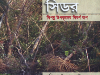 Sidr - January-2008
