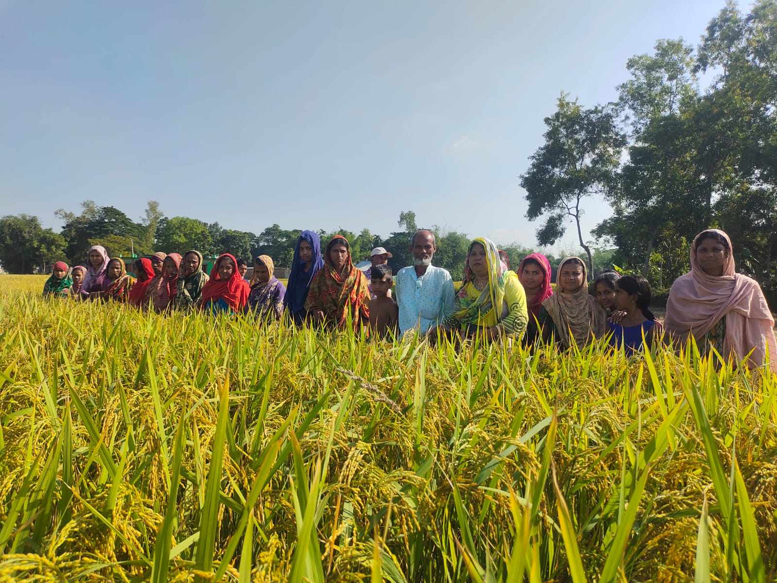 Malshira Rice shows ray of hopes for farmers - BARCIK
