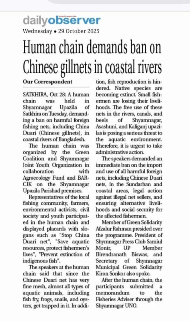 Daily Observer