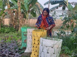 Gender Justice (4)