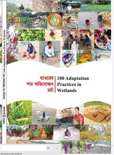 100 adaptation practice in Haor wetland